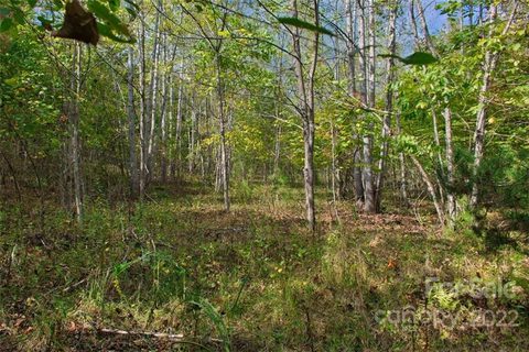 0 Chimney Creek Lane active home in Clearwater Creek, Rutherfordton, NC