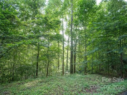 00 Ironwood Lane active home in Scarlet Oaks, Maggie Valley, NC