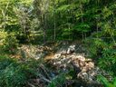 00000 Shining Rock Drive 20 sold home in Canton, SC