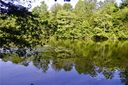 0 Shepherds Creek Circle sold home in Rutherfordton, SC
