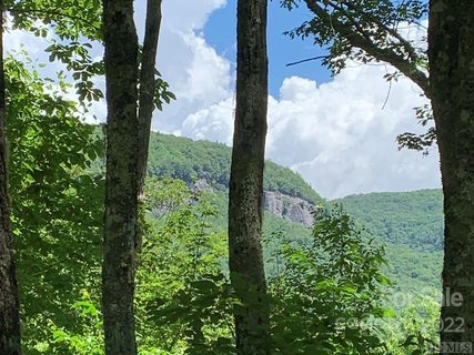 Lot 2 Panthertown Road