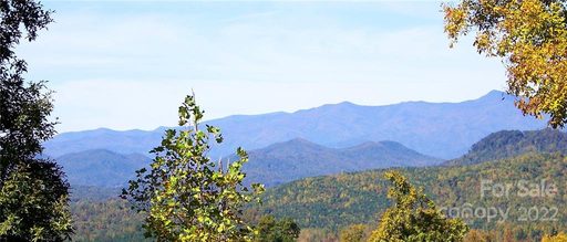 126 Mossy Oak Trail