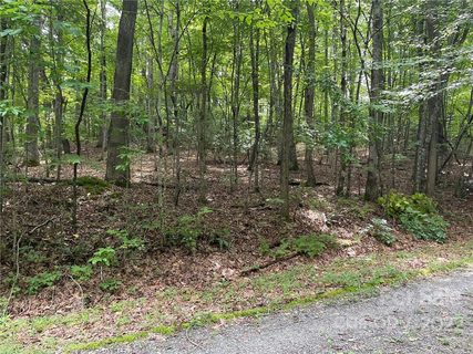 Lot P 19 Ridgemont Road P-19 sold lot in Clear View Valley, Hendersonville, NC