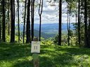 0000 East Garden Trail Lot 11 sold home in Hendersonville, SC