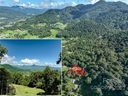 00 Shadyside Drive sold home in Waynesville, SC