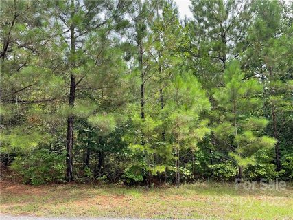 00 Hope Drive 19 sold home in Pleasant View, Rutherfordton, NC
