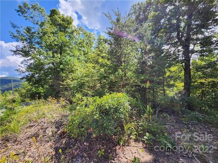 51 Autumn View Drive sold lot in Raven Ridge, Hendersonville, NC
