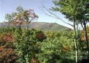 Lot 40 43 Timucua Trail 40 & 43 sold home in Waynesville, SC