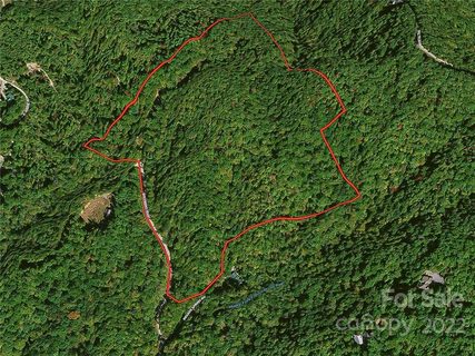 125 Indian Camp Mountain Road TR 125