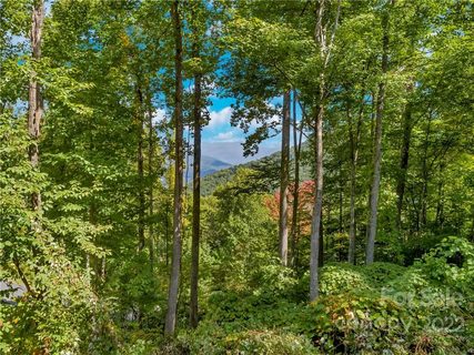 1332 Daydream Ridge LOT 67
