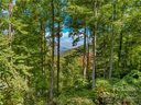 1332 Daydream Ridge LOT 67 sold home in Swannanoa, SC