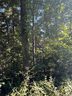 1538 Fairway Drive sold home in Newton, SC