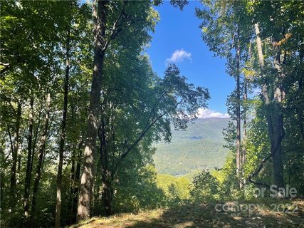 768 Boar Ridge Road 121
