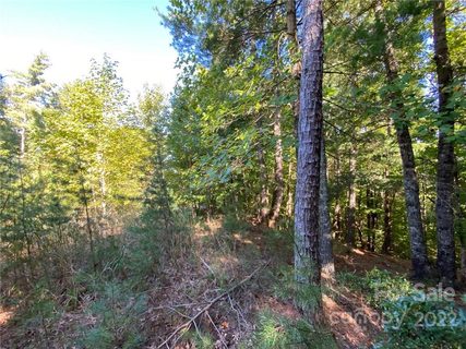 260 Sycamore Drive 44-12