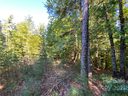 260 Sycamore Drive 44-12 sold home in Nebo, SC