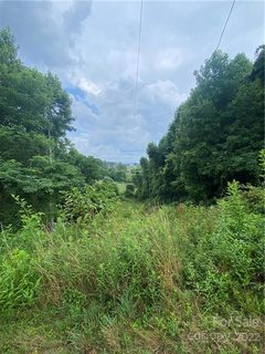 99999 Watsell Drive sold lot in Highland Hills, Leicester, NC