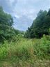 99999 Watsell Drive sold home in Leicester, SC