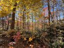 000 Cub Den Drive 58 sold home in Marshall, SC