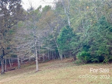 5 04 Acres Lot 501a Red Cedar Way 501A