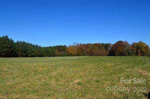 2350 Fairview Farms Road A sold land listing in Greenspace of Fairview, Campobello, SC