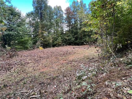 283 Rippling Brook Road sold lot in Wildcat Cove, Sylva, NC