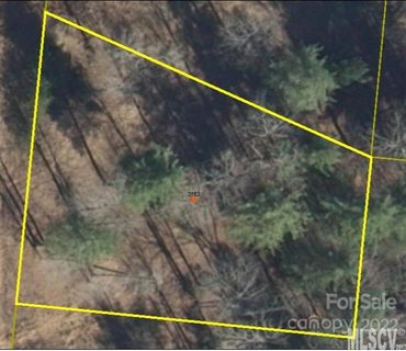 3153 Bear Trail 52