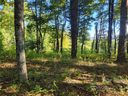 Lot 188 Dancing Bear Drive sold home in Hendersonville, SC