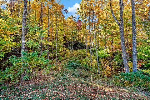 Tbd Mountain Grove Lane 40