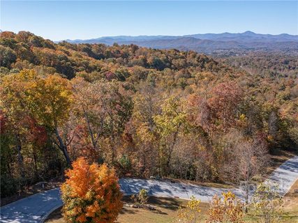 1736 Wood Owl Court active lot in Carriage Park, Hendersonville, NC
