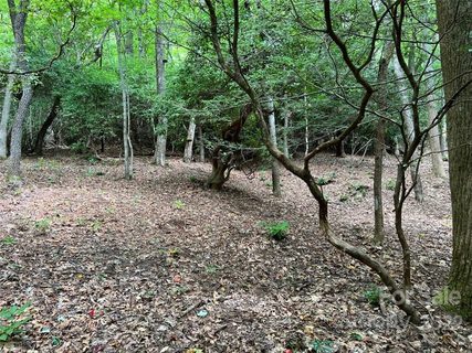 0000 New Sprout Lane Lot 5
