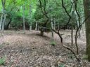 0000 New Sprout Lane Lot 5 sold home in Hendersonville, SC