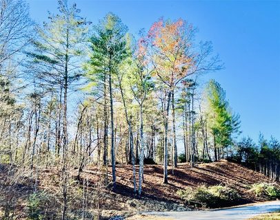1 99 Acres Lot 78 Round Mountain Parkway