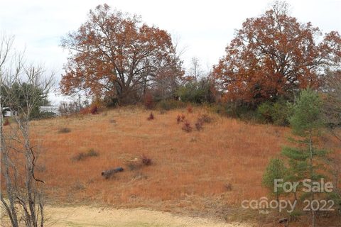 585 Morlin Acres Drive 12