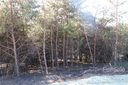 585 Morlin Acres Drive 33 sold home in Marshall, SC