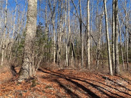 8 Lot Pkg Galax Lane sold lot in Sequoyah Woods, Brevard, NC