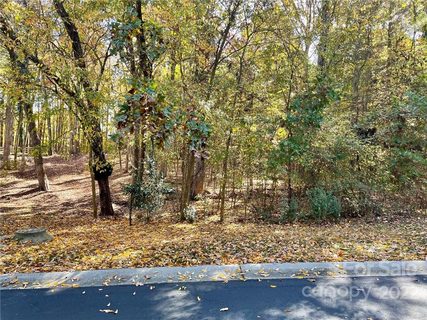 1675 Old Tara Lane sold lot in Tara Plantation, Fort Mill, SC