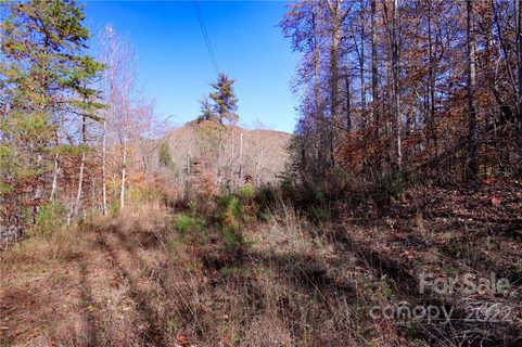 Lot 74 Buffalo Creek Road
