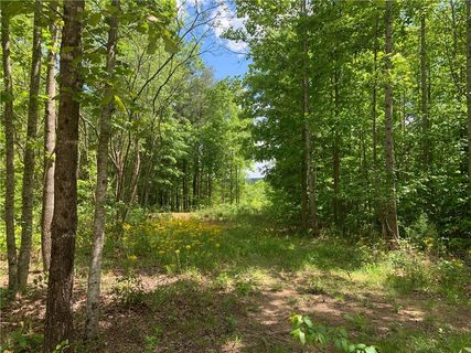 10 35 Acres High Country Extension 810
