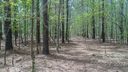6409 Highway 205 Highway 10 sold home in Marshville, SC