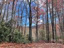 Lot 26 Ridge Trail Drive sold home in Balsam Grove, SC