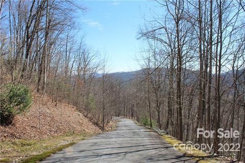 242 Black Bear Ridge Trail 28 sold home in Rock Creek, Zirconia, NC
