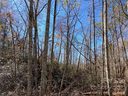 275 Shannons Walk sold home in Lake Lure, SC