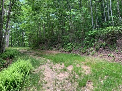 Lot 18 Racoon Cove Road sold lot in Brush Creek Properties, Bryson City, NC
