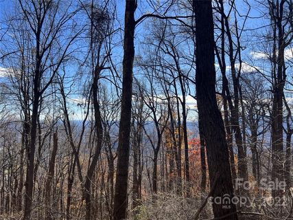 00 Hemlock Trail 63