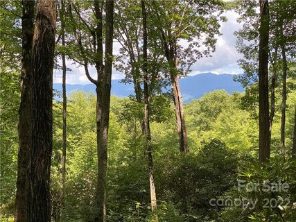 Lt 168 Preserve Road