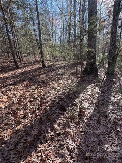 000 Twin Maple Way 5 sold home in Mountain Park at Lake Adger, Mill Spring, NC