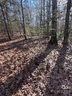 000 Twin Maple Way 5 sold home in Mill Spring, SC