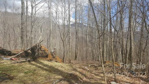 1 Plott Balsam Drive 1 Cranberry Section