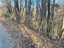 0 Old Crows Road 228, 229 sold home in Lake Lure, SC
