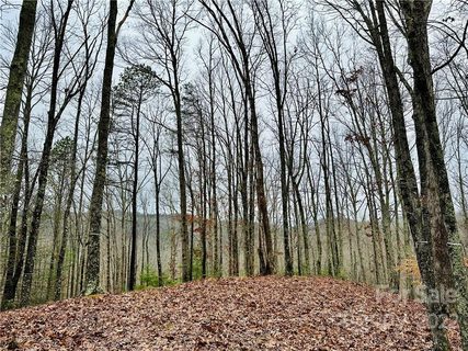 921 Wild River Run active lot in French Broad Crossing, Marshall, NC